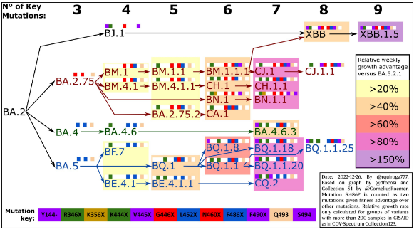 新冠病毒進化路線圖.png 新冠病毒進化路線圖.png