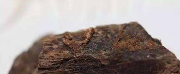 頂級沉香(奇楠).jpeg 頂級沉香(奇楠).jpeg