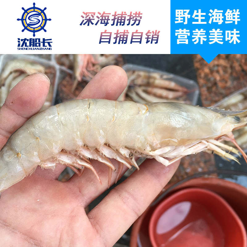 怎么回事？活蹦亂跳的蝦一買回來就死了