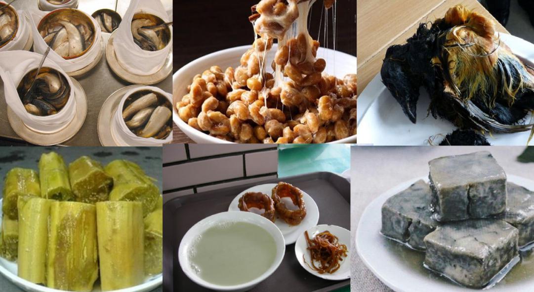 世界各地的臭味發酵食物.jpg