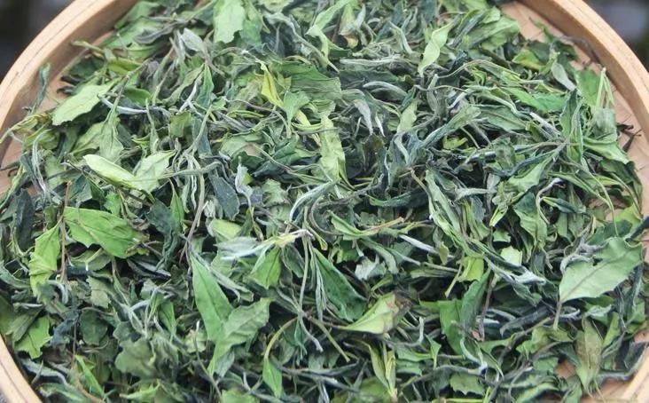 壽眉等級小菜茶.jpg 壽眉等級小菜茶.jpg